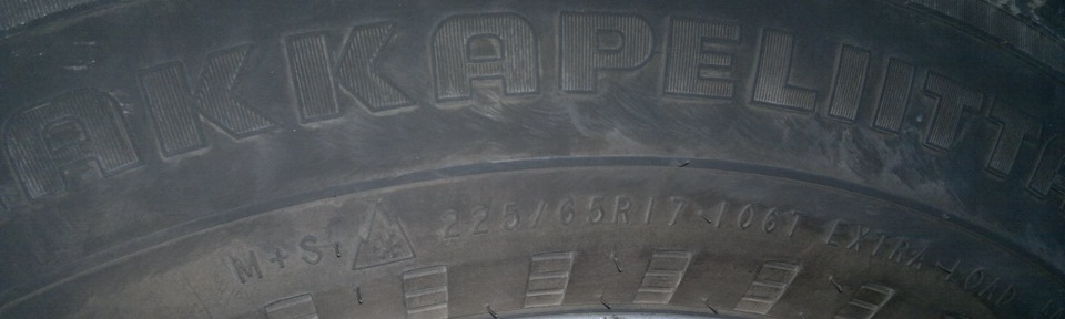 прикупив зиму 2