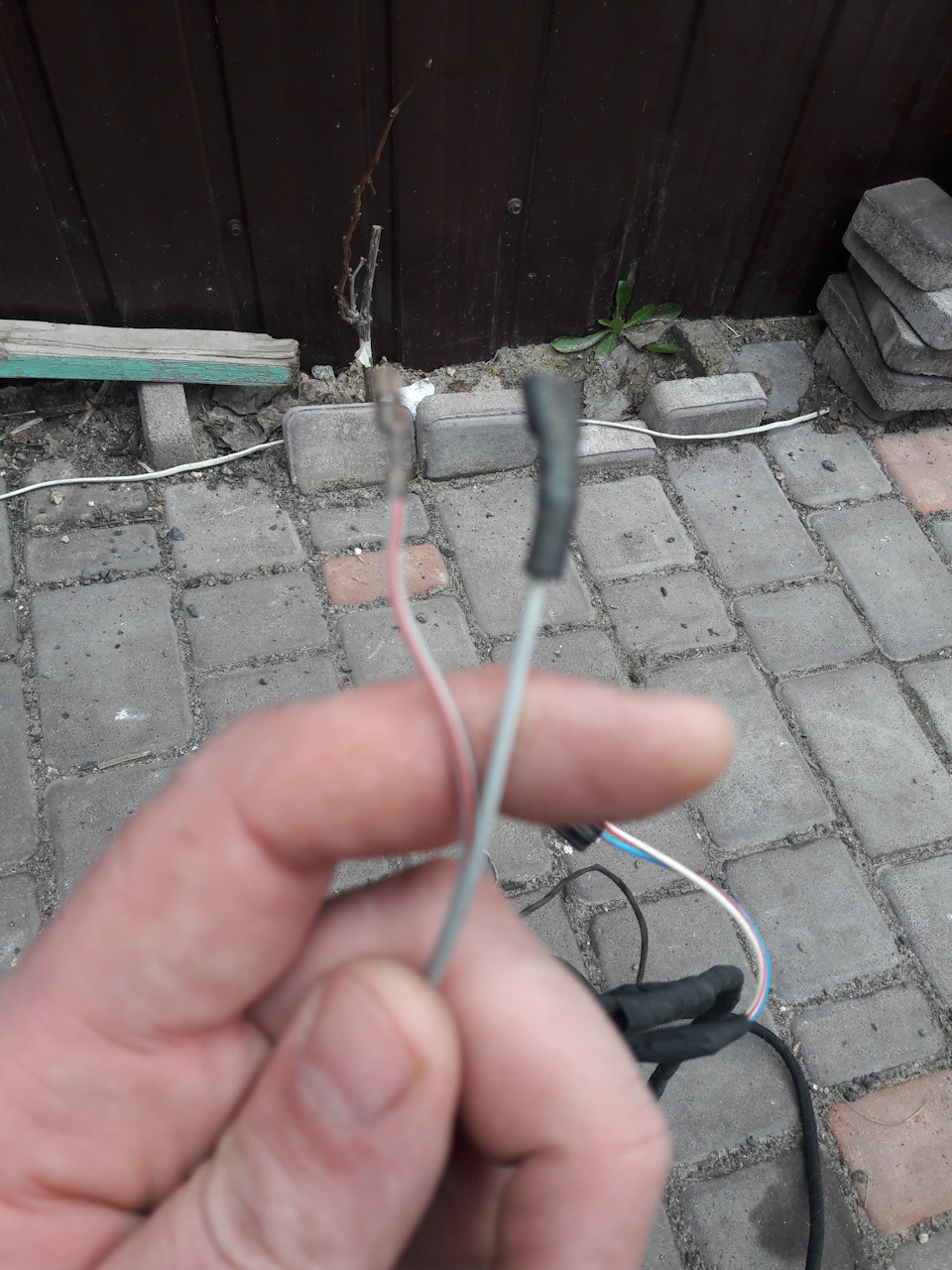Проведення салону зябра 5