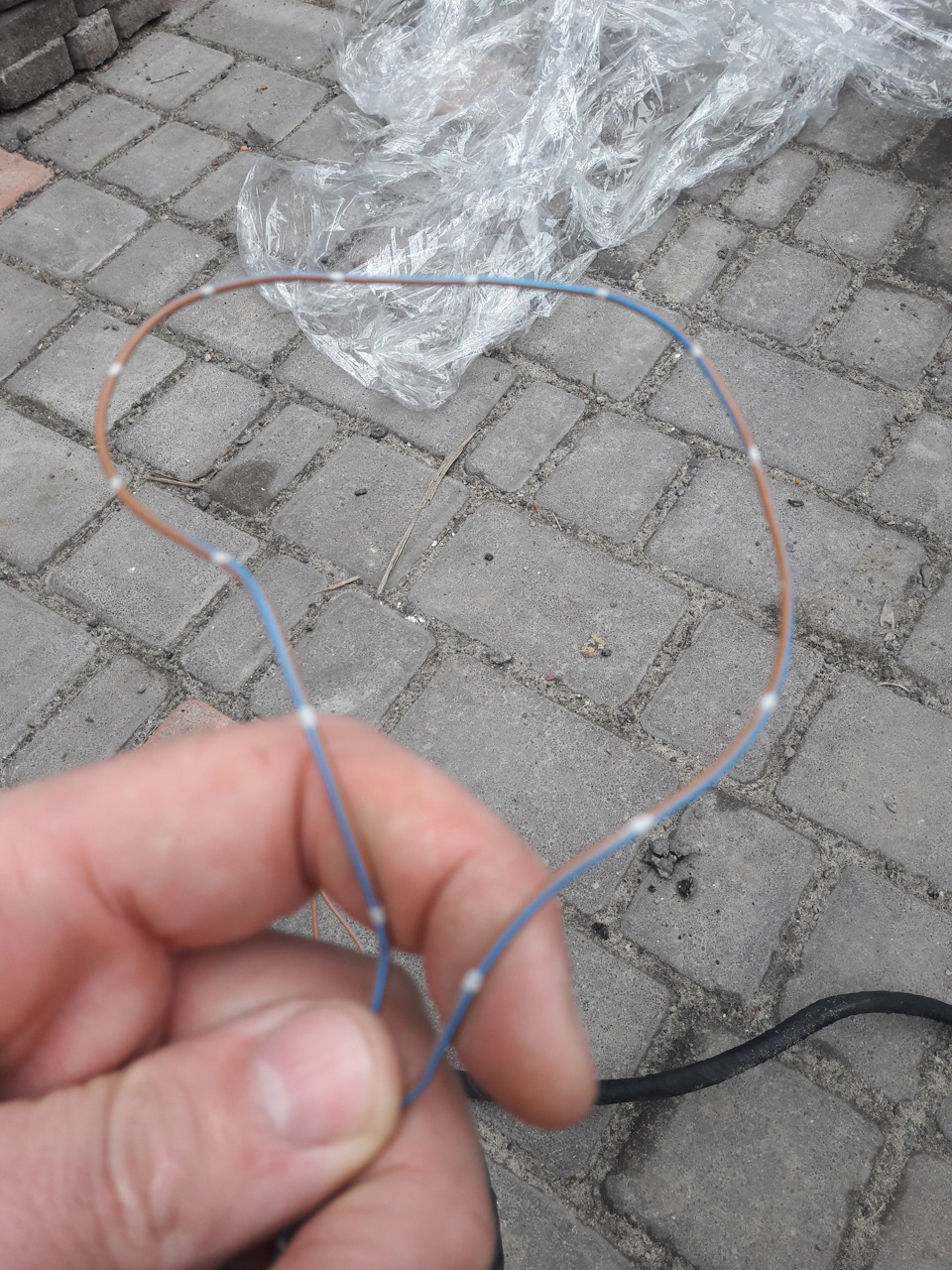 Проведення салону зябра 2