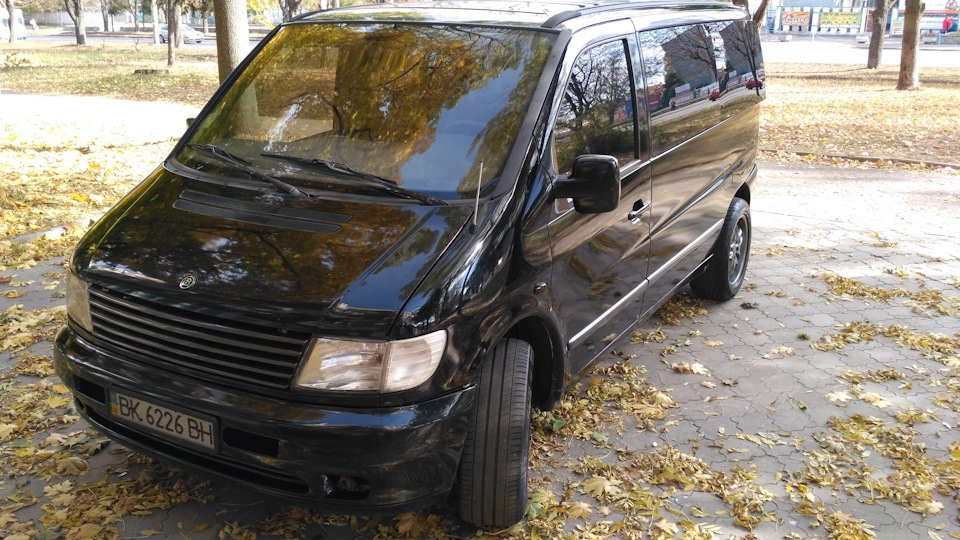 Осінні фотки 🍁🚐📷 2