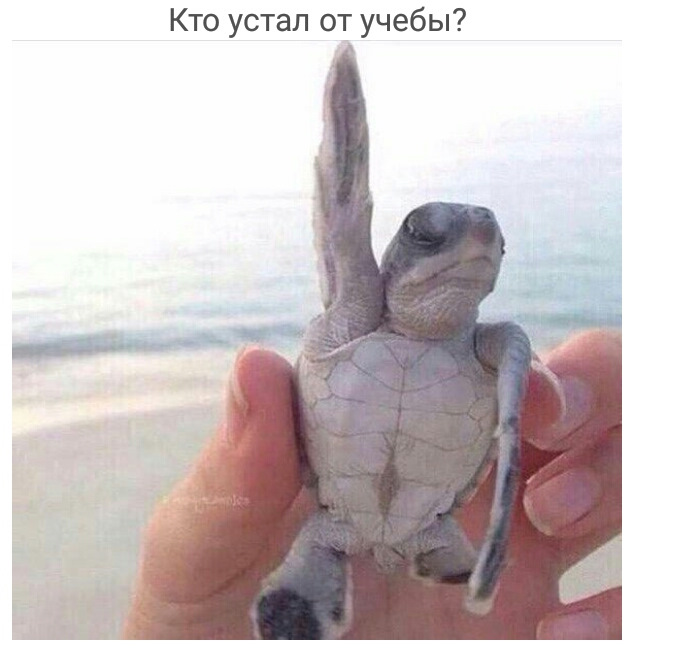 Трішки позитиву Ч2 4