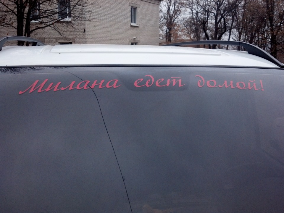 Поповнення в сім'ї) 3