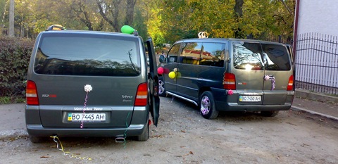 Брати близнюки 3