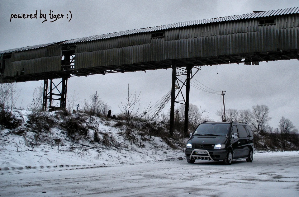 зимові фотографії на основі тигра :)