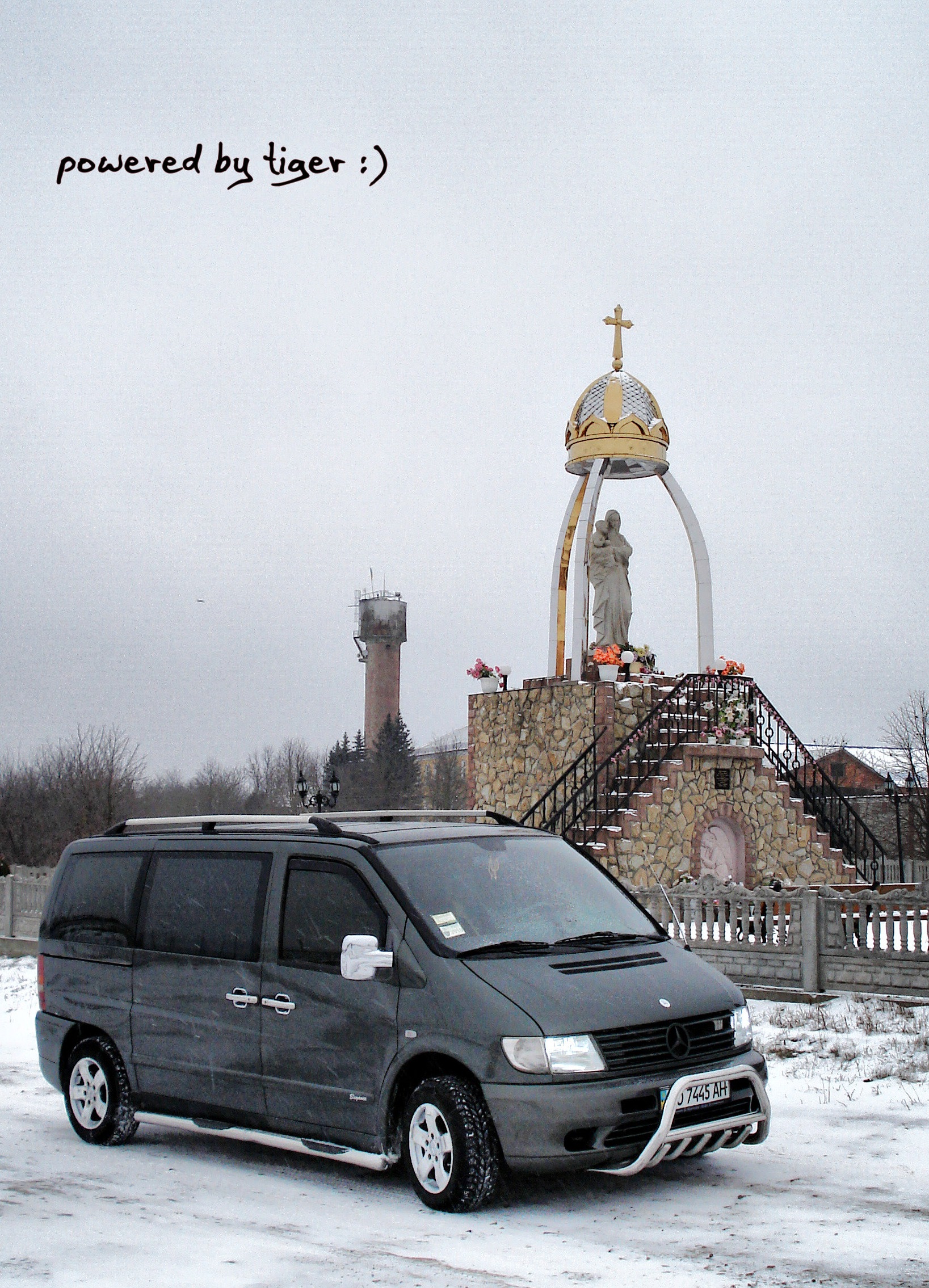 зимові фотографії на основі тигра :) 3