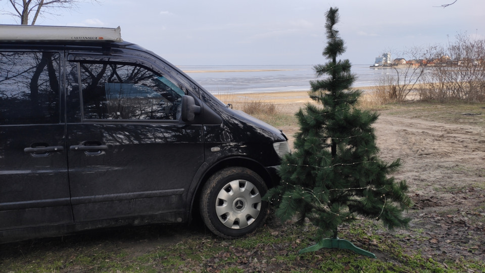 Дрібниця з Алі 1