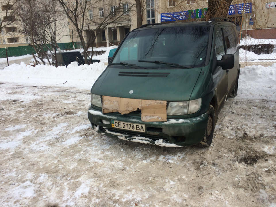 Купив намордник 1