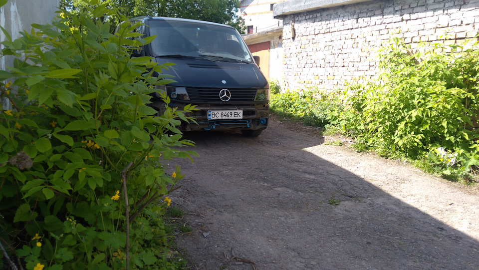 Олені олені 3