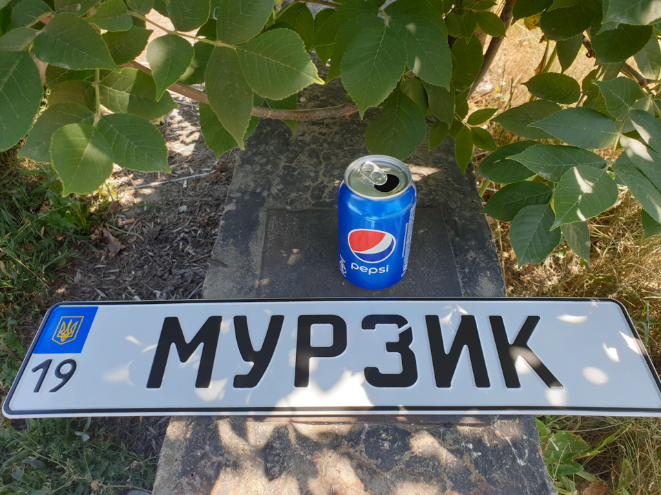 Інз 1