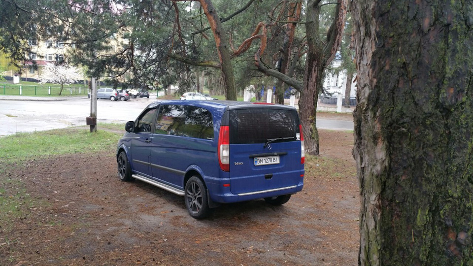 Травневі фотки😎 3