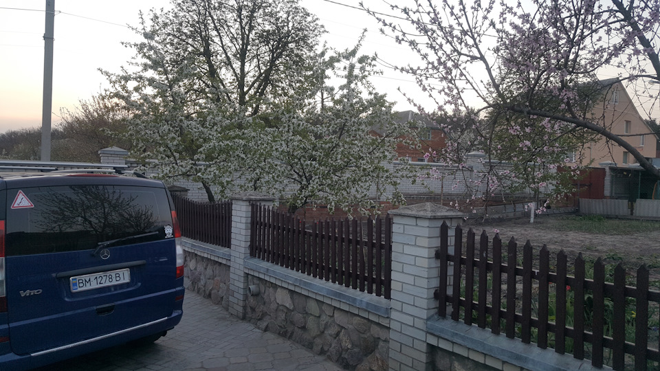 З Великоднем друзі! 3