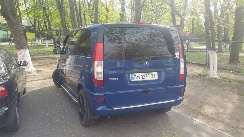 У Бориспіль за плем'яшкою. 3