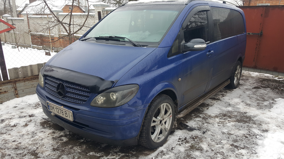 Заміна лопухів: тепер вушка Viano 2