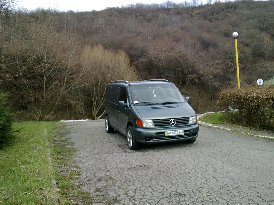 Парочка весняних фото 2