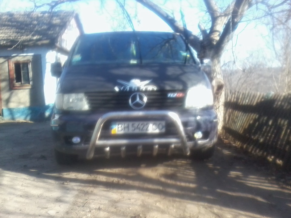 Кенгурятник приїхав. 2