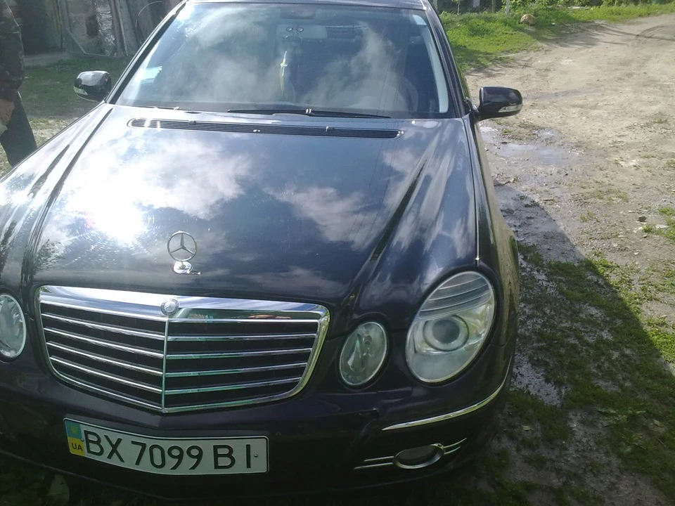 Ось у моїй сім'ї ще з'явився один НІМІЦЬ ...