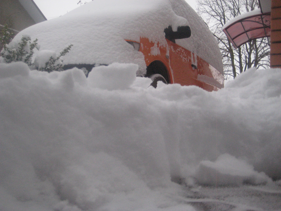 Перезимували зиму, перезимуємо і весну! 3