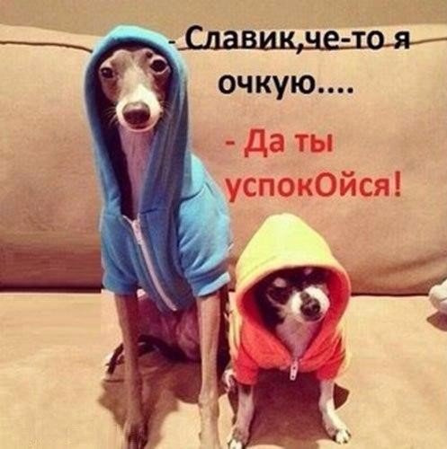 Запис від 17 листопада 21:28 1