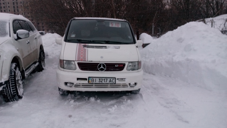 Зовсім занесло снігом 1
