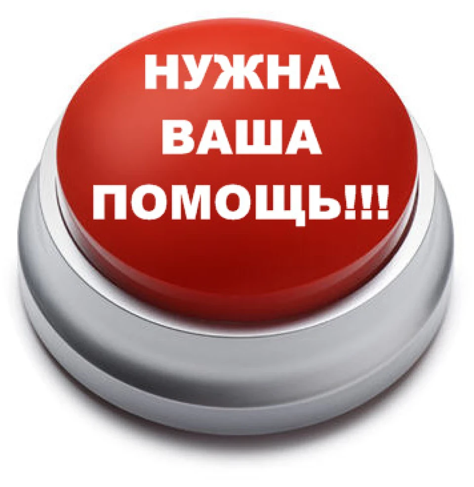 Шукаю на vito 638 Скло зябра