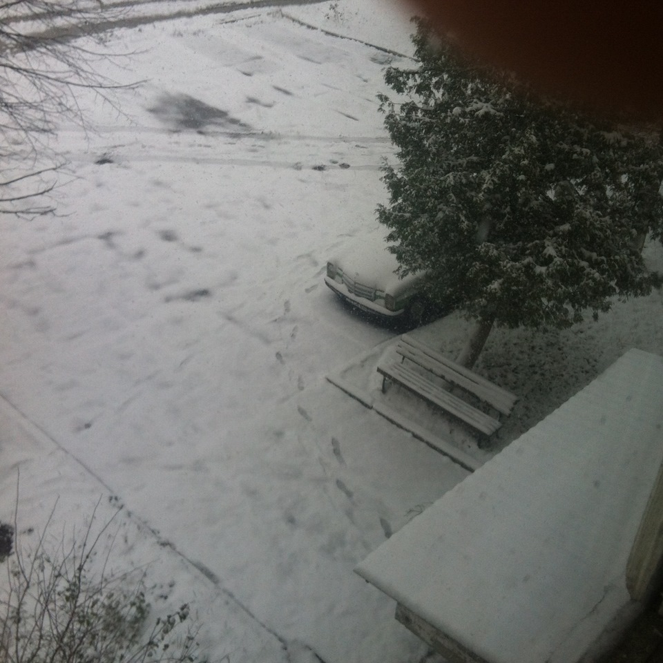Сніжок 1