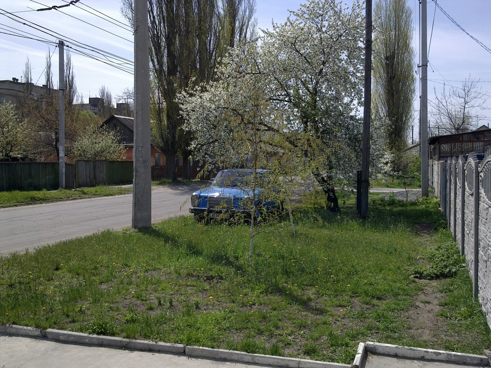 Наводимо красу перед літом 1