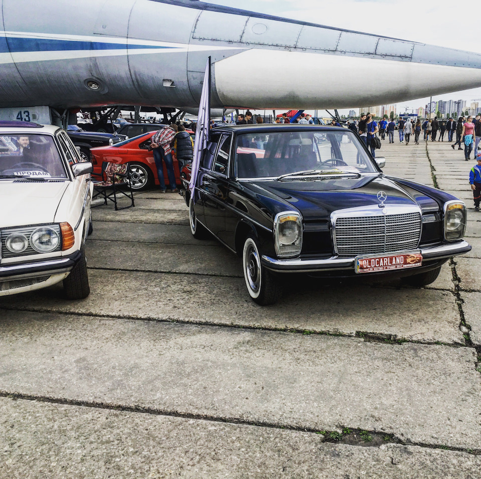 Oldcarland 2017 5