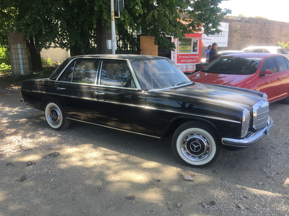 Продав красеня! 3