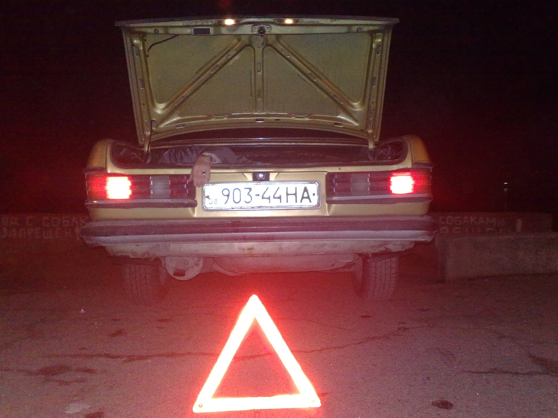 Брудний мурзя або просто прогулянка!)) 5