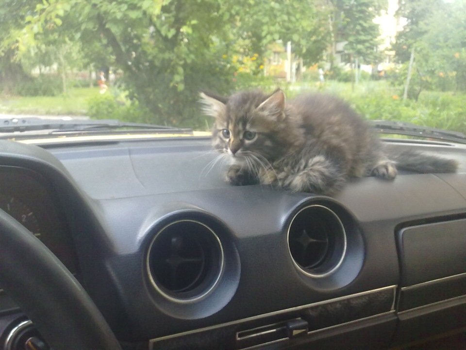 мерседеса)) 1