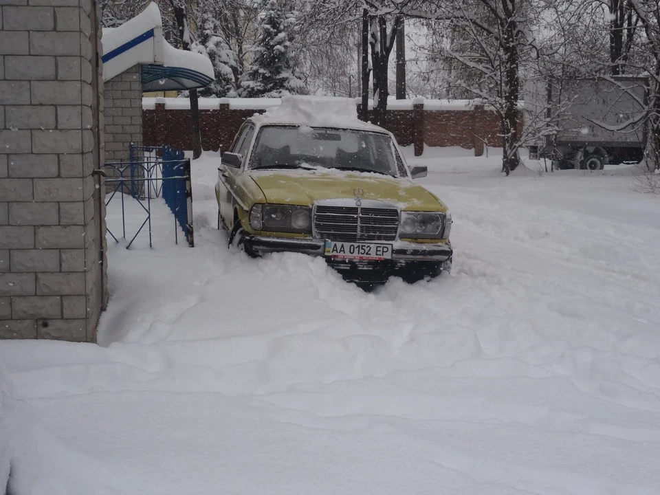 злегка присипало сніжком