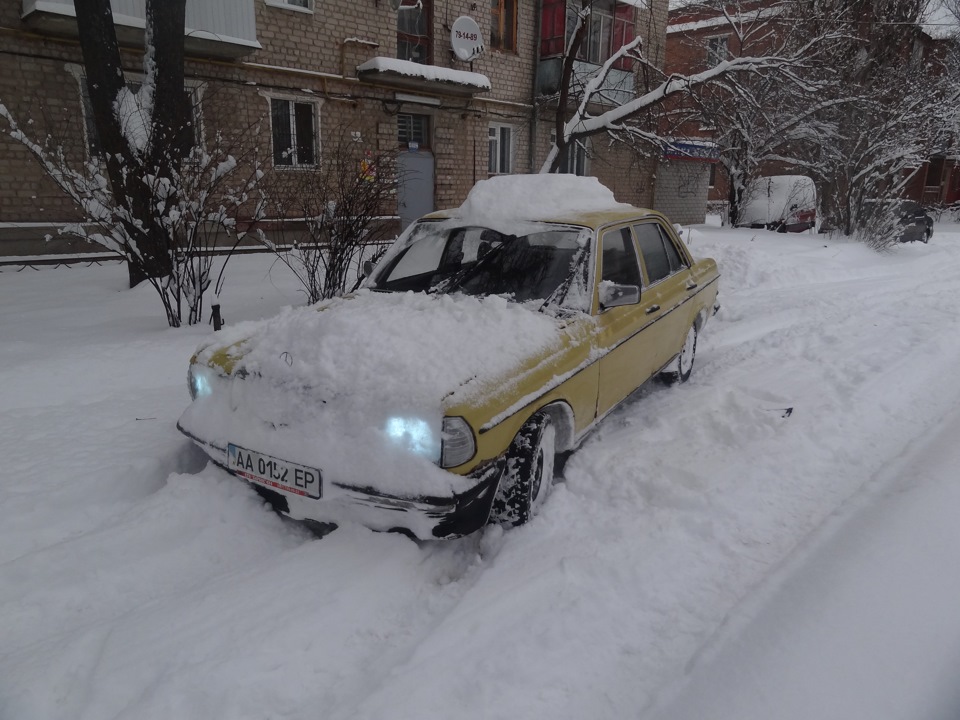 злегка присипало сніжком 4