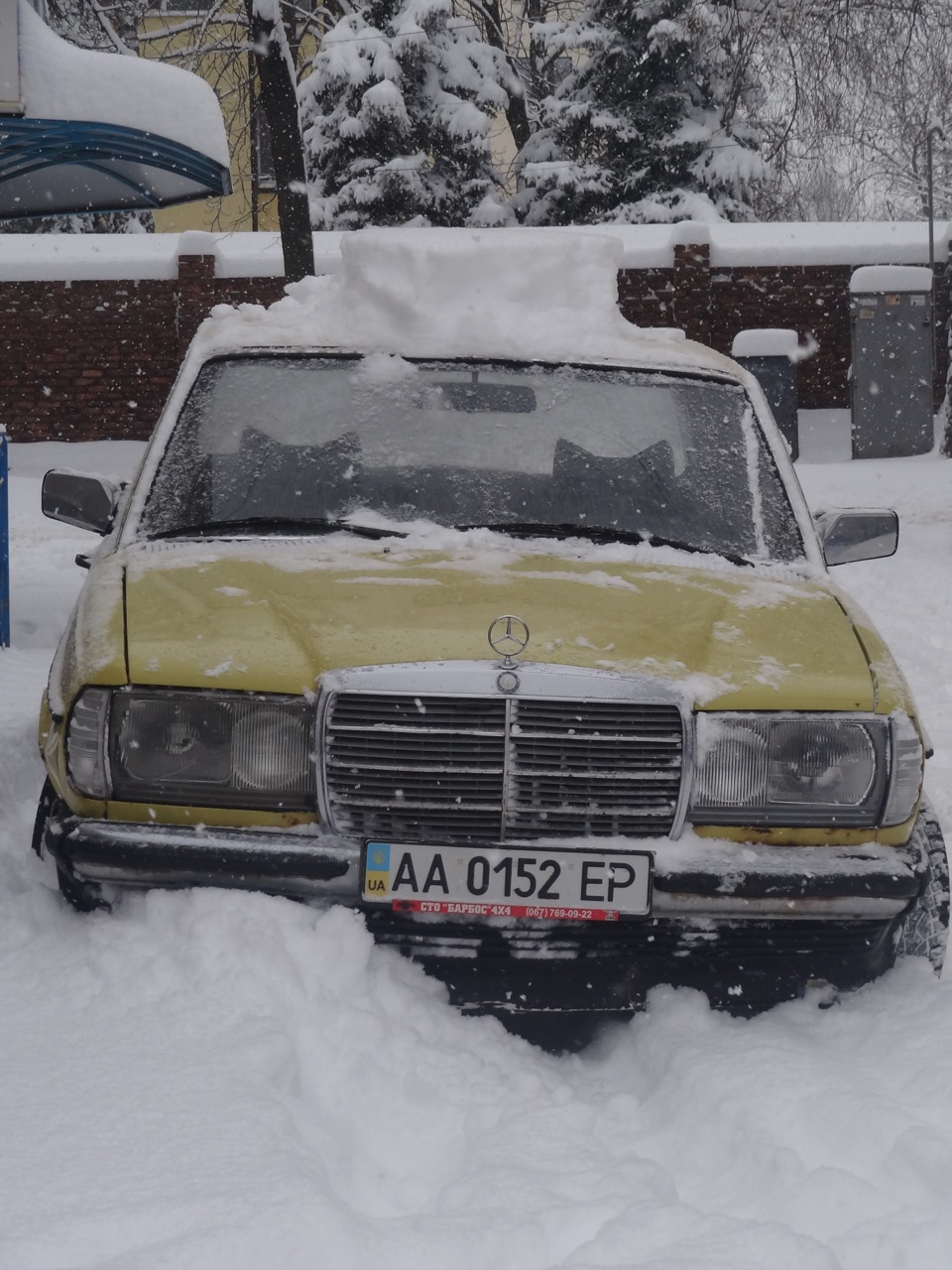 злегка присипало сніжком 3