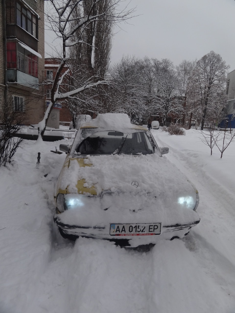 злегка присипало сніжком 5