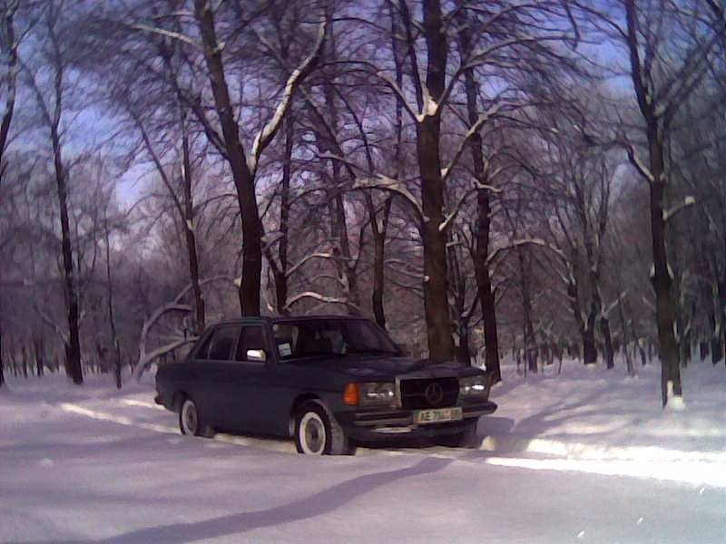 фото взимку 5