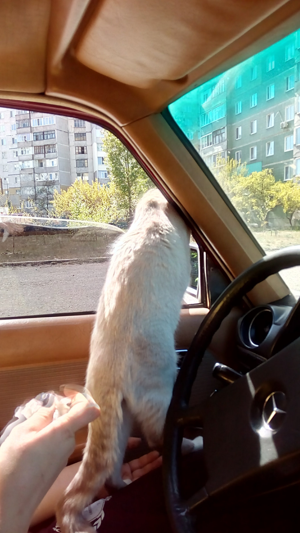 Давно не бачилися, панове! 3
