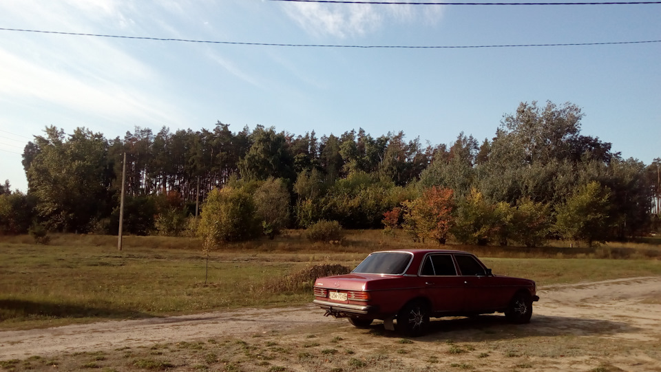 Давно не бачилися, панове! 1