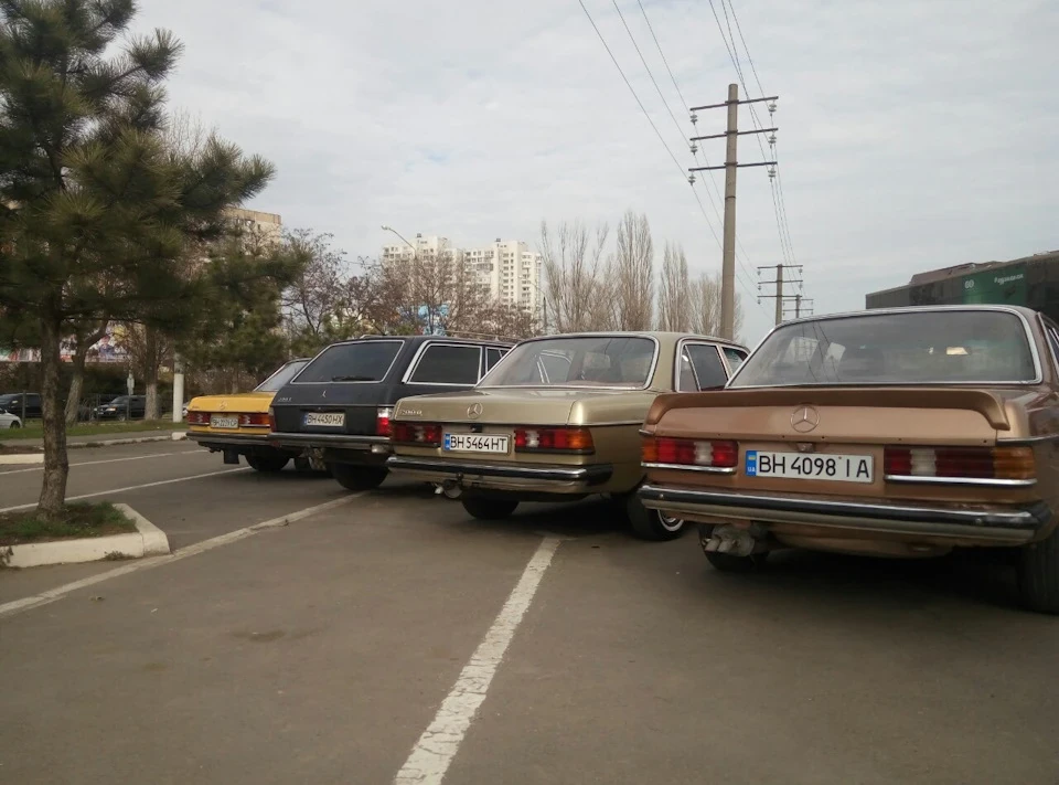 встановив пороги