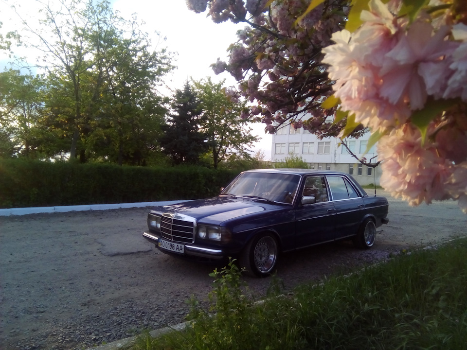 Весна в розпалі. Зустрічаючи з другом. 2