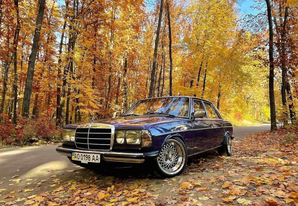 Золота осінь. 1
