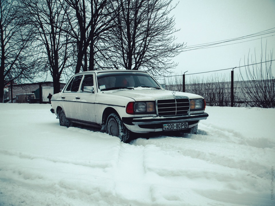 Сезон гризунів 5