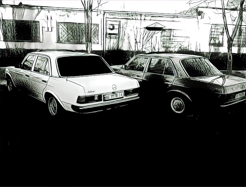 Prisma 5