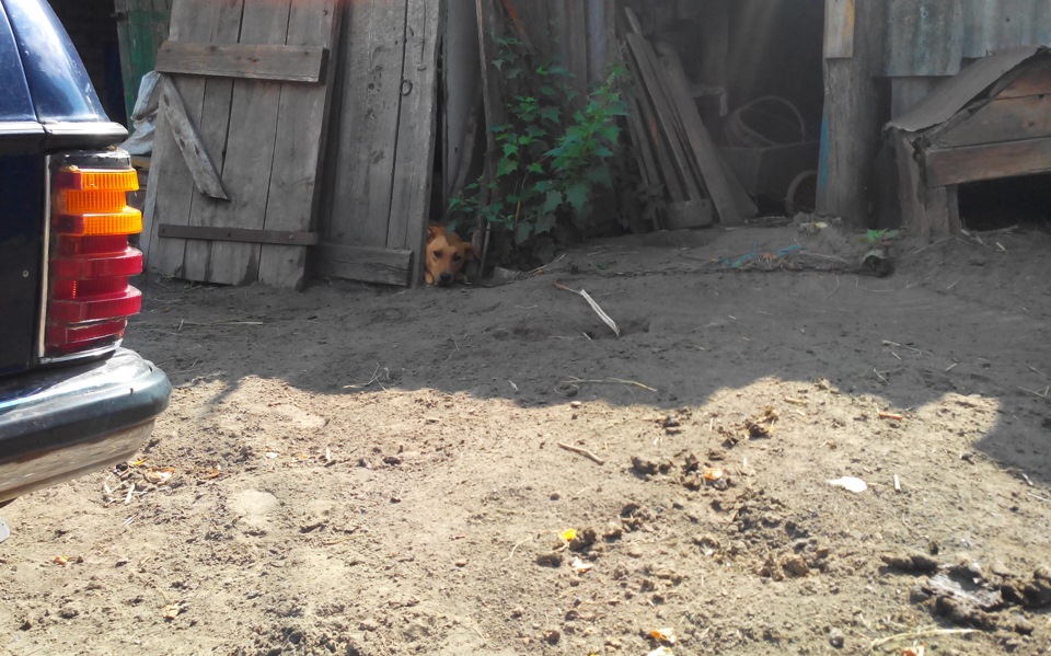 Перший виїзд за місто 1