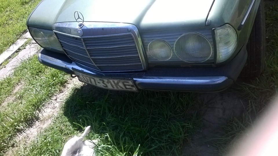 А ось і ми) 1