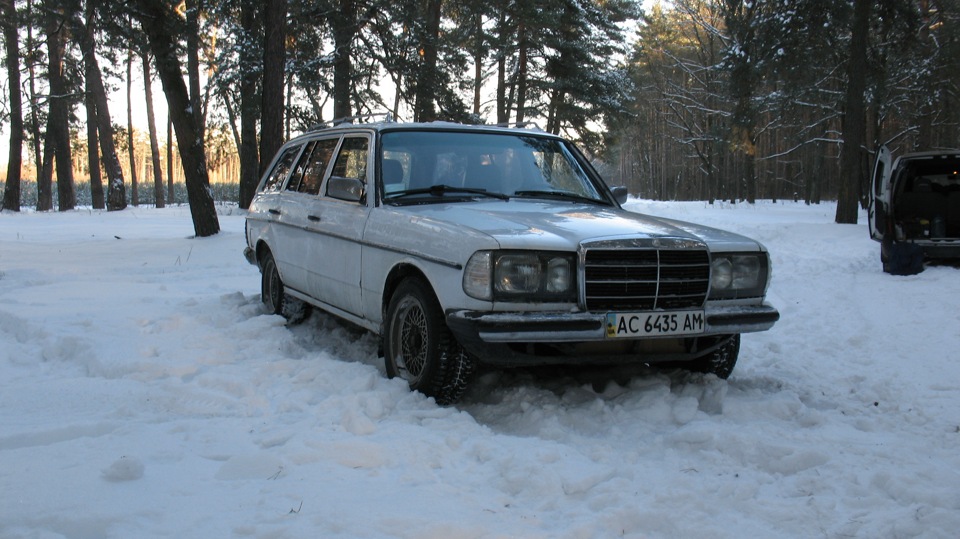 Поїздка до зимового лісу 4