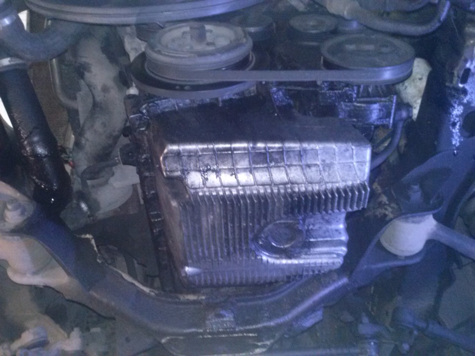 трохи фоток 2