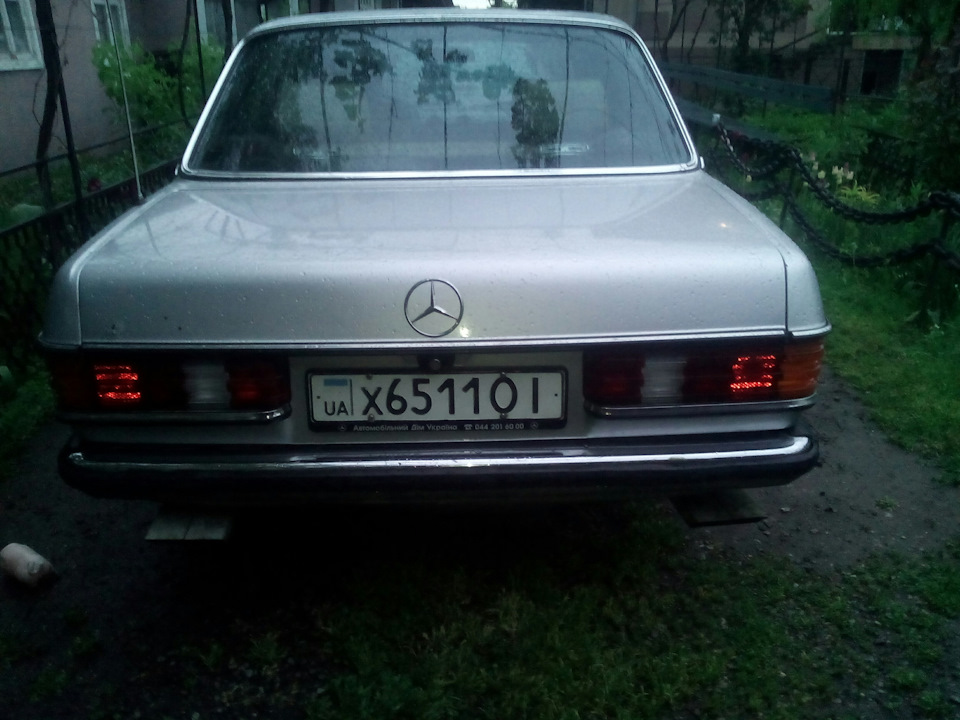пару фоток 1