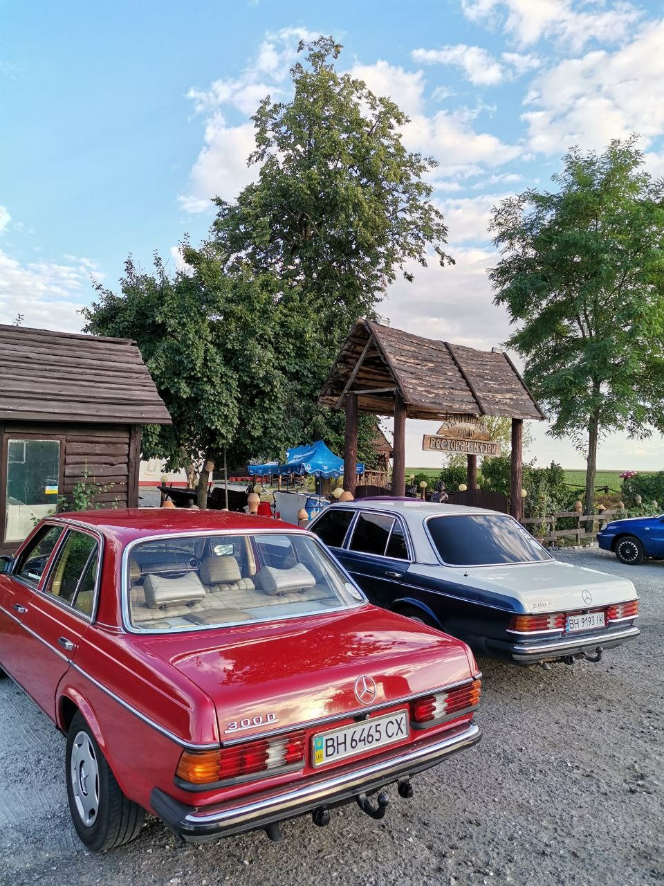 Долина Карпати 4