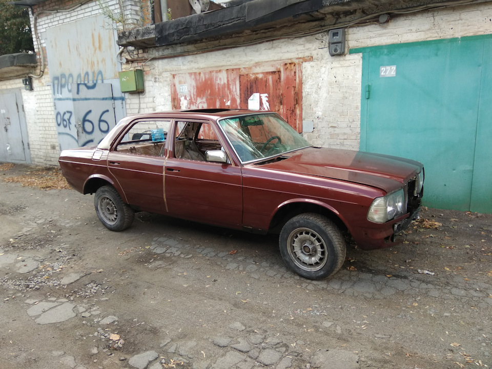 Останнє фото перед сплячкою 1