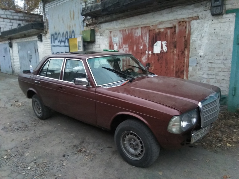 Останнє фото перед сплячкою 5